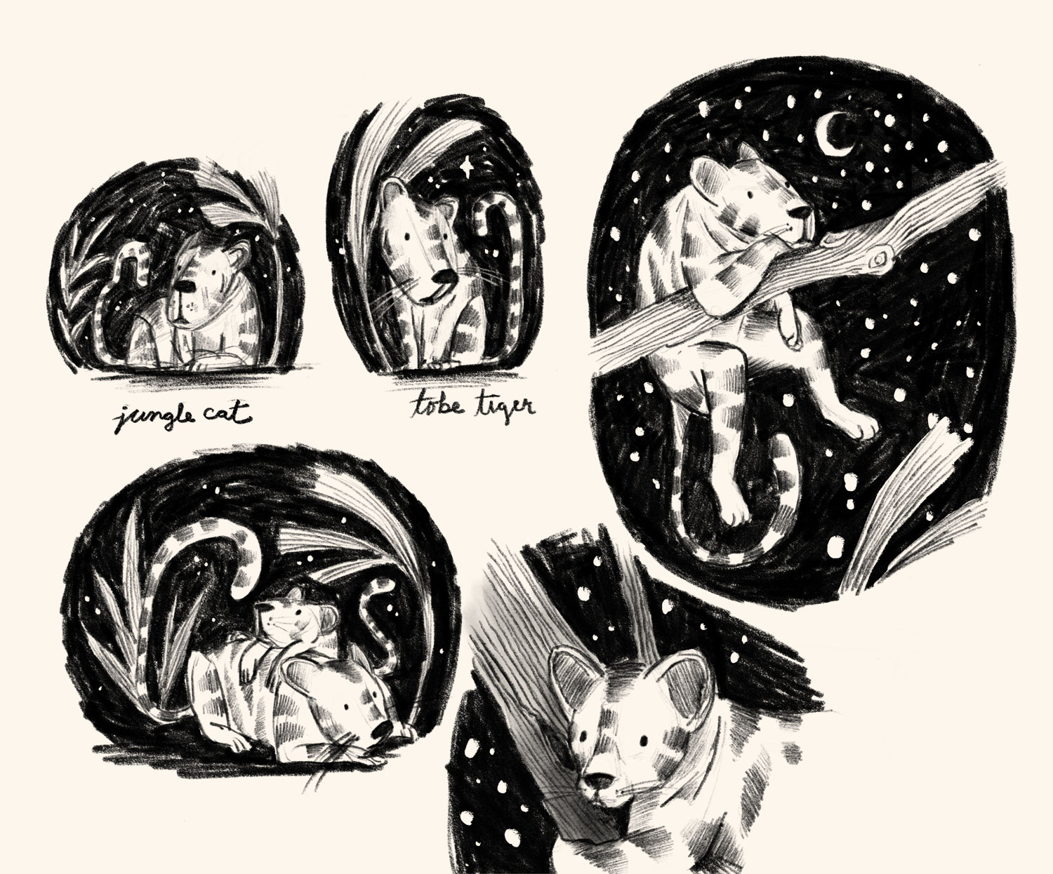 Sketch - Mission Oops!