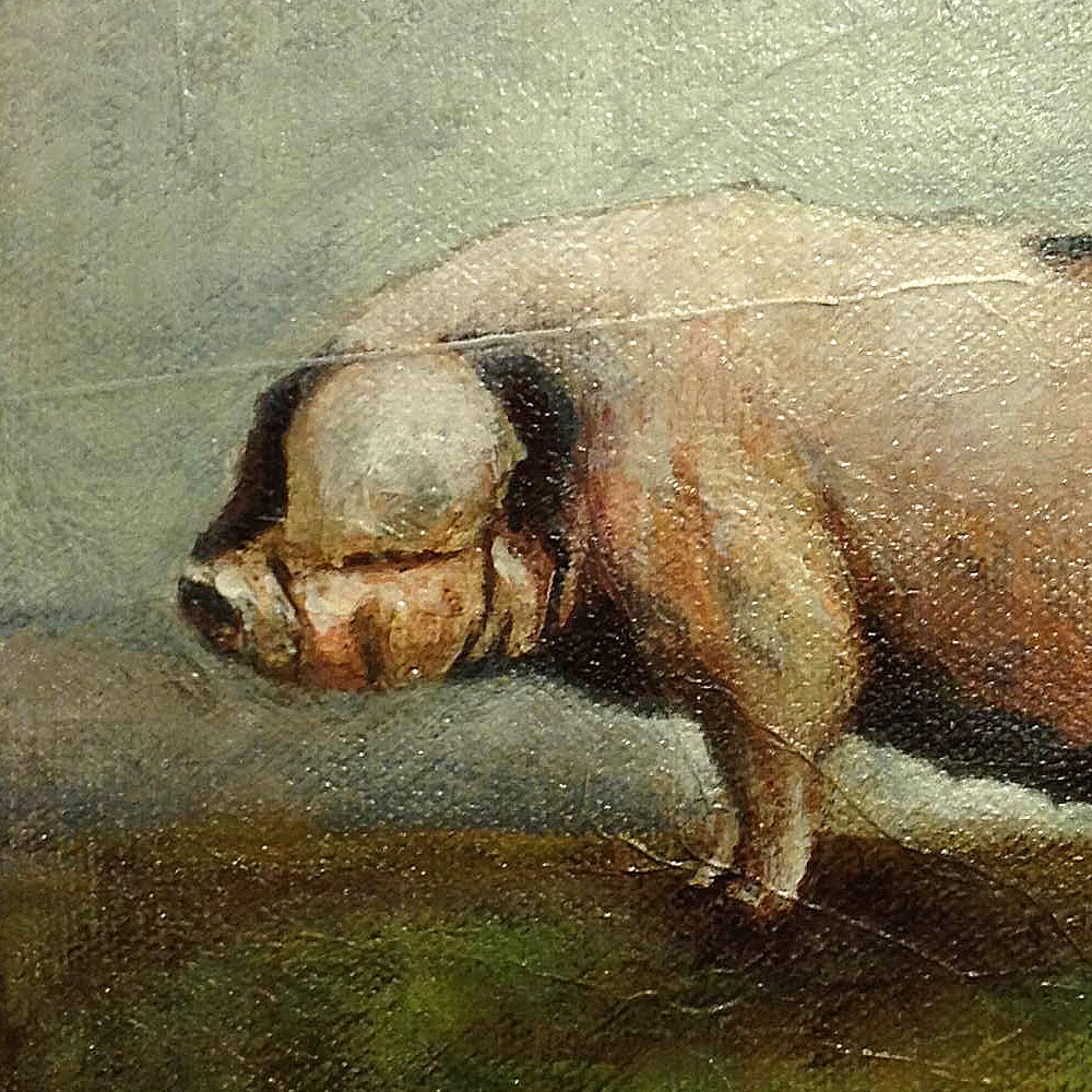 Swine Painting